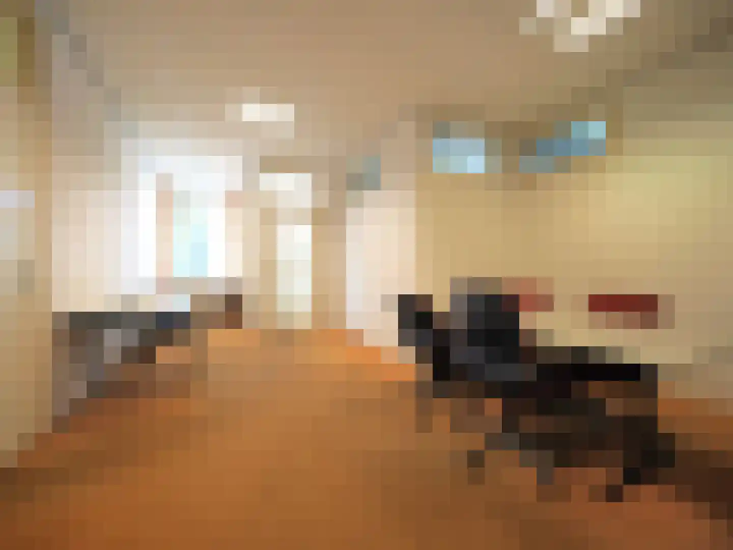 Veerdam 2 Papendrecht thumbnail 23