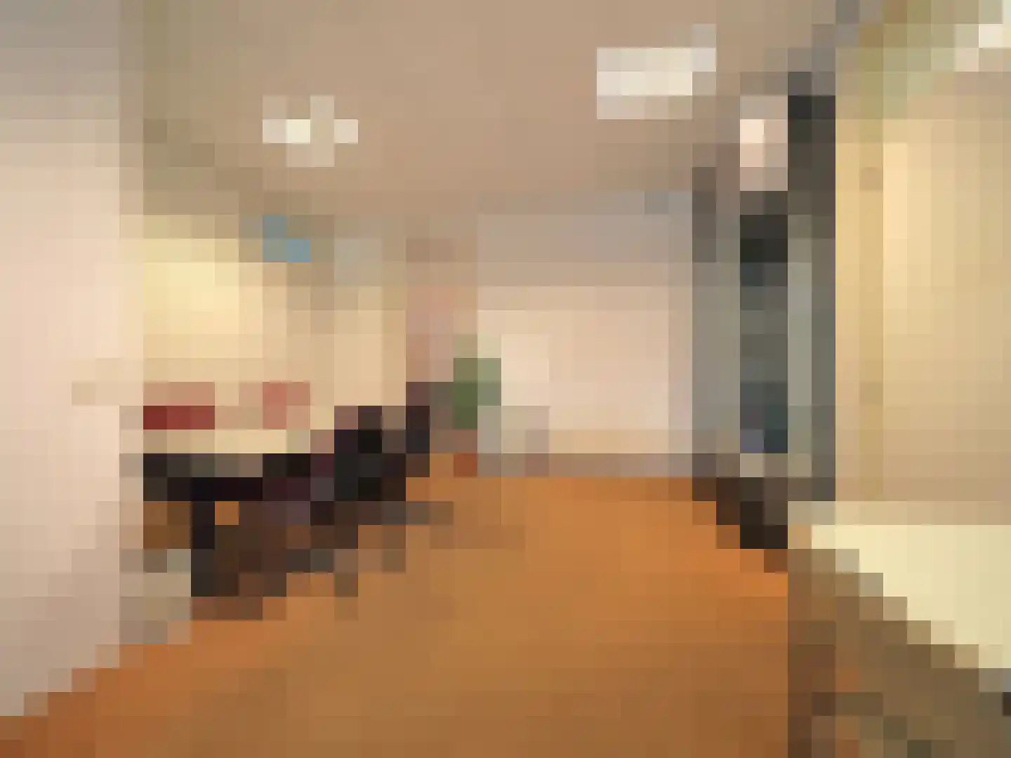 Veerdam 2 Papendrecht thumbnail 24