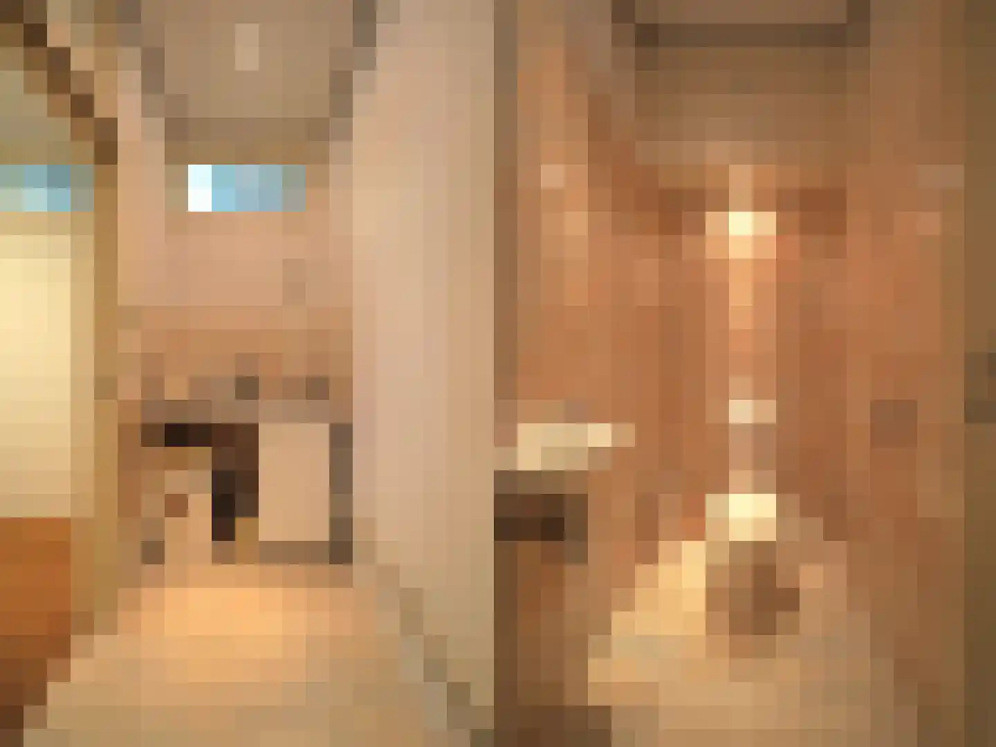 Veerdam 2 Papendrecht thumbnail 25