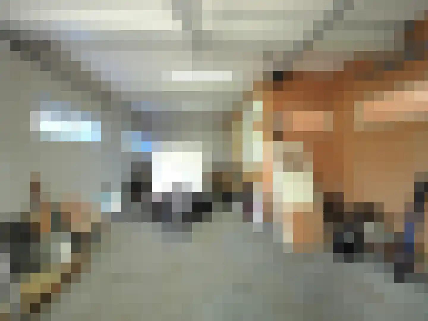 Veerdam 2 Papendrecht thumbnail 28
