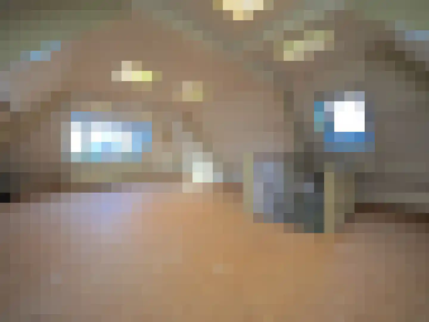 Veerdam 2 Papendrecht thumbnail 45