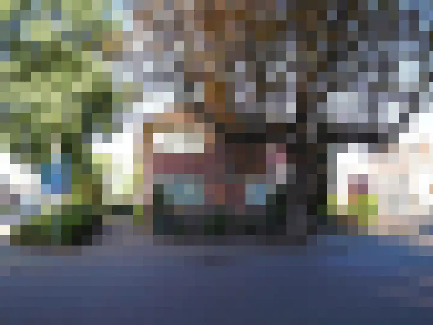 Veerdam 2 Papendrecht thumbnail 5