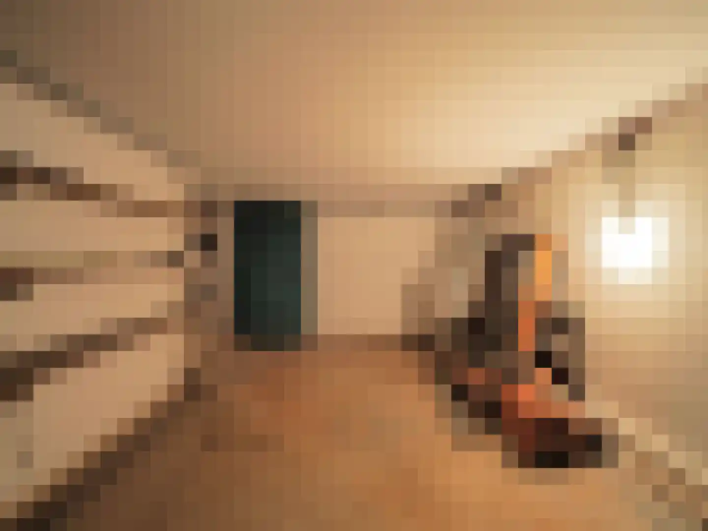 Veerdam 2 Papendrecht thumbnail 52