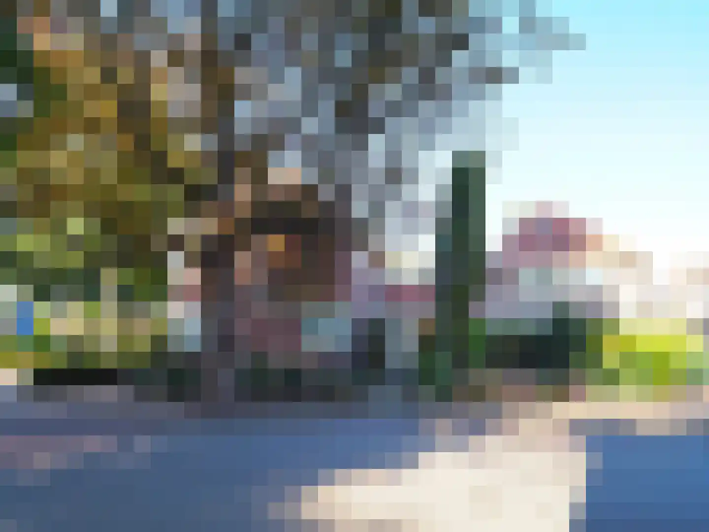 Veerdam 2 Papendrecht thumbnail 6