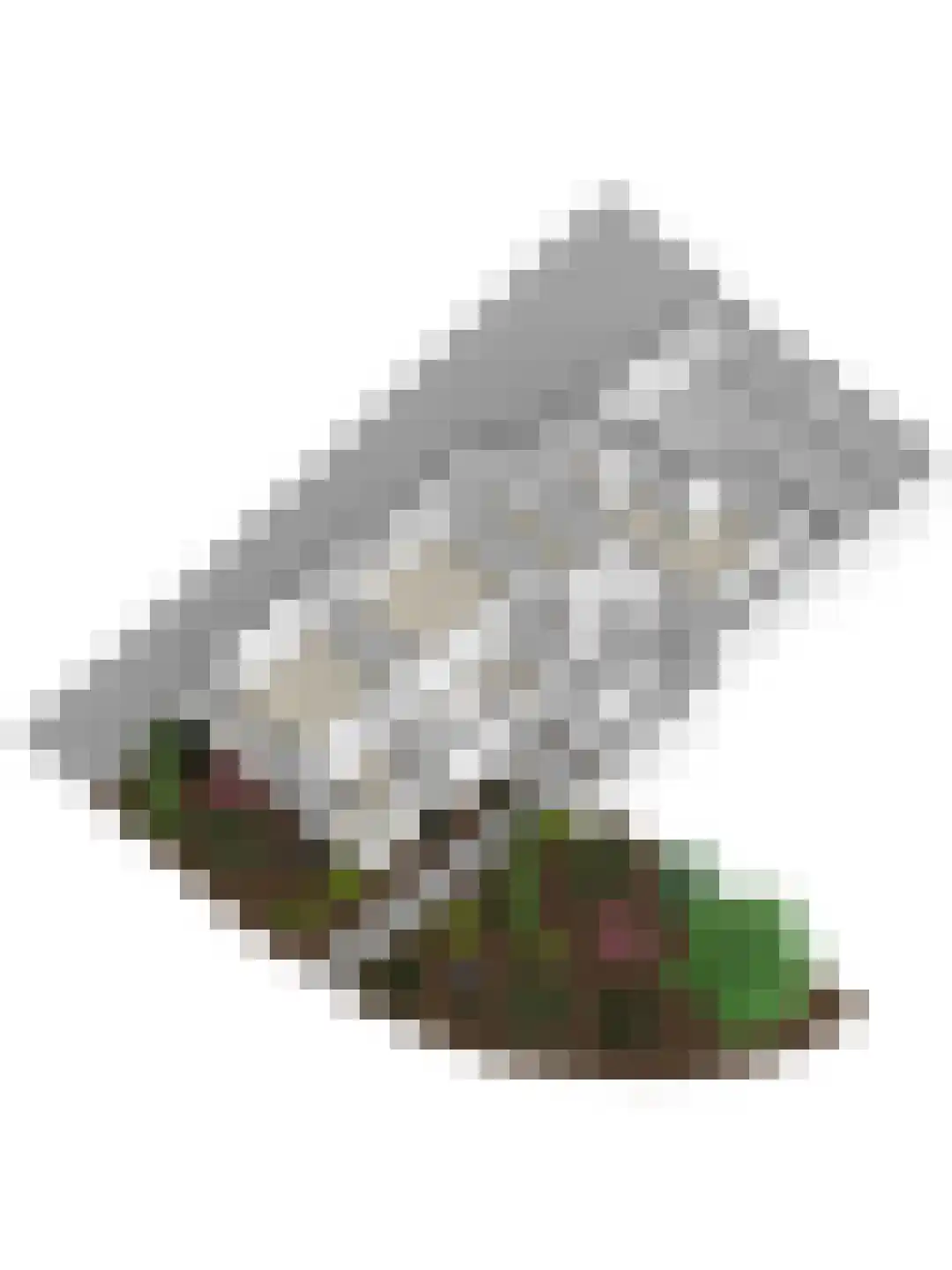 Veerdam 2 Papendrecht thumbnail 68