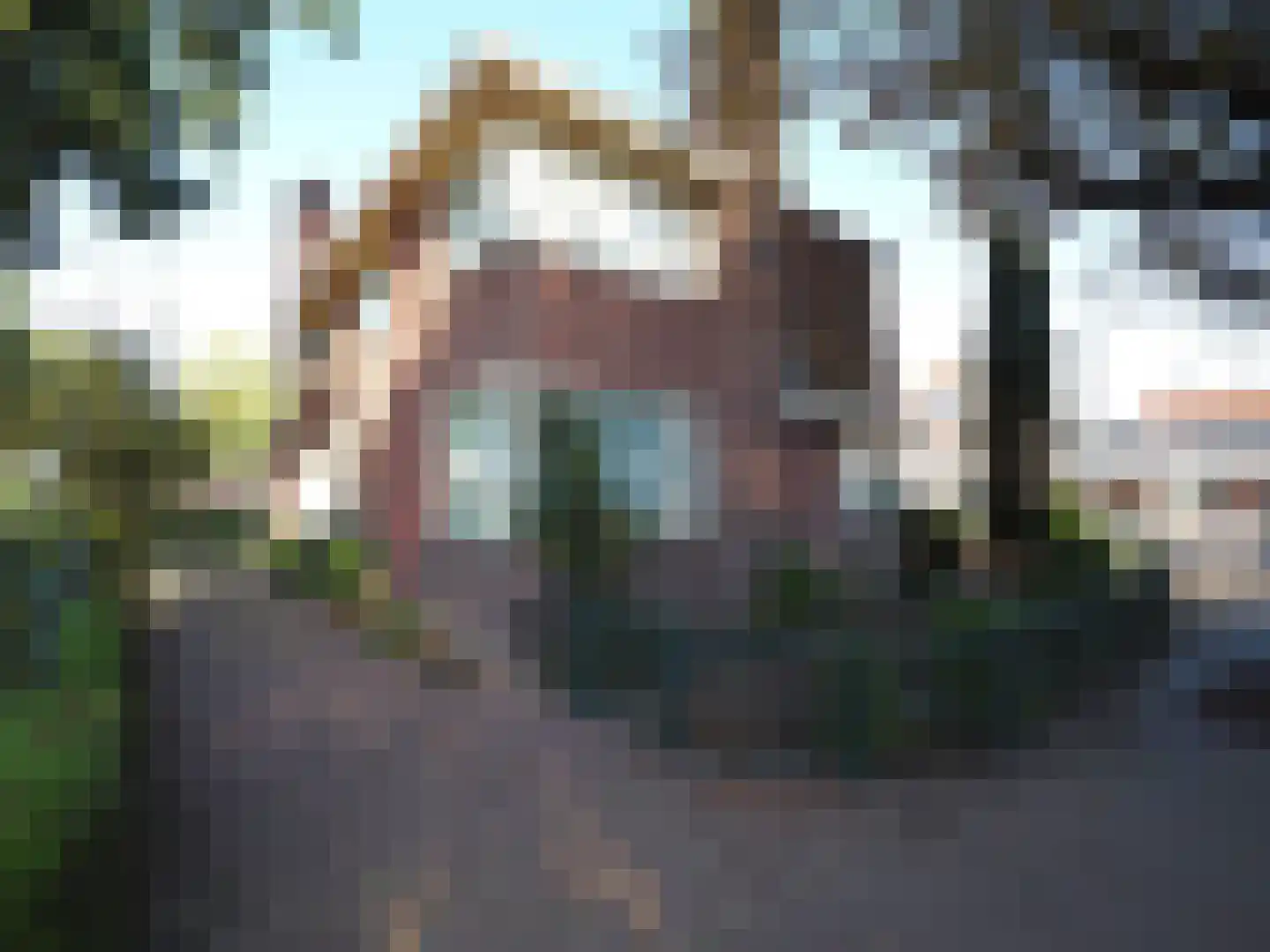 Veerdam 2 Papendrecht thumbnail 8