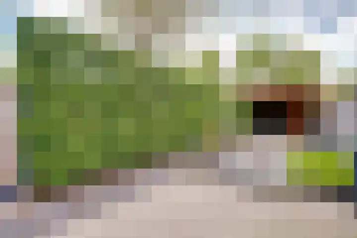 Veerdam 25 Kinderdijk thumbnail 30