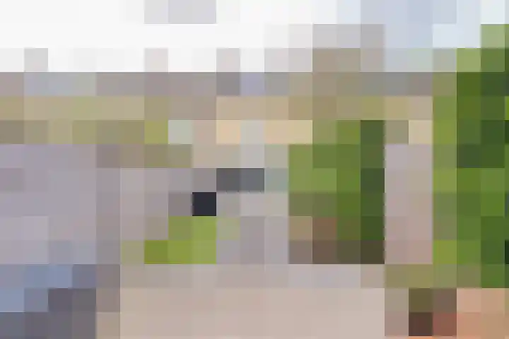 Veerdam 25 Kinderdijk thumbnail 32