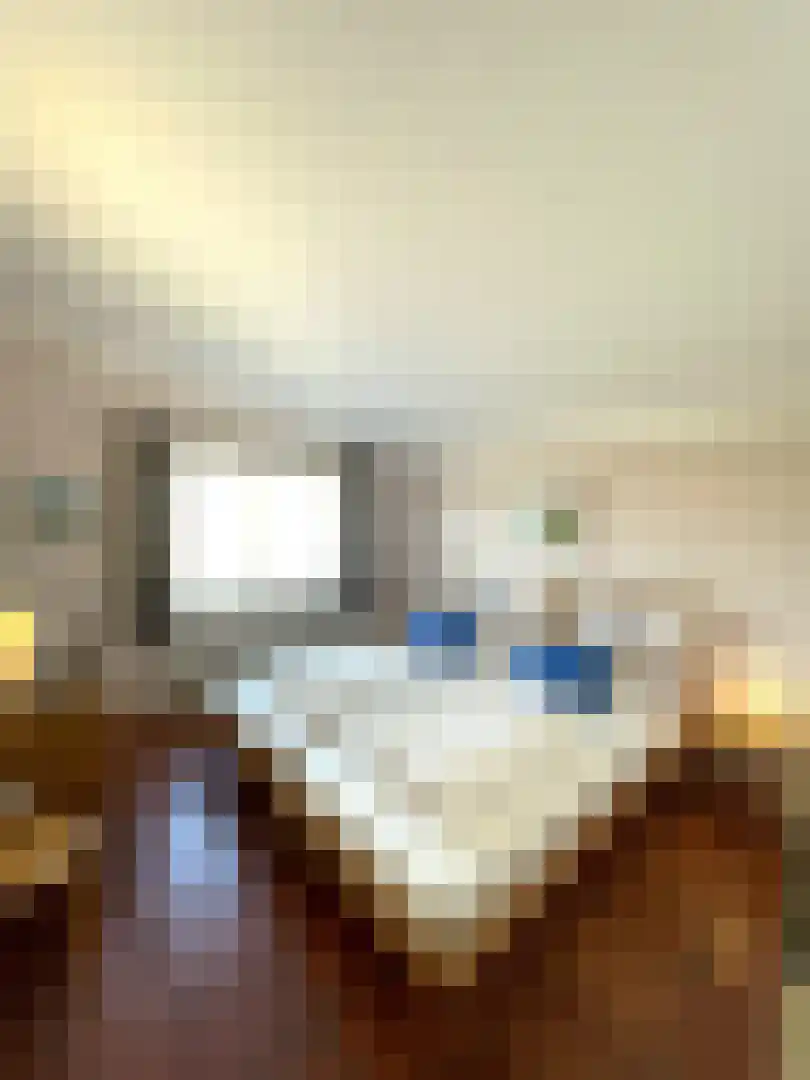 Veerdam 30 Kortgene thumbnail 12