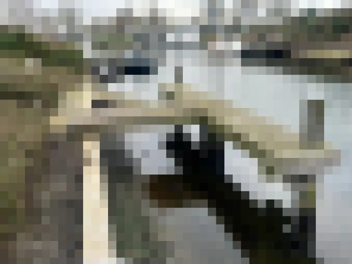 Veerdam 30 Kortgene thumbnail 18