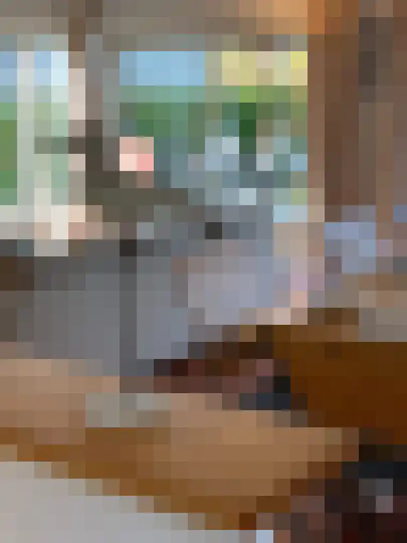Veerdam 30 Kortgene thumbnail 6