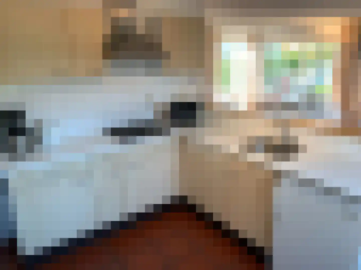 Veerdam 30 Kortgene thumbnail 7