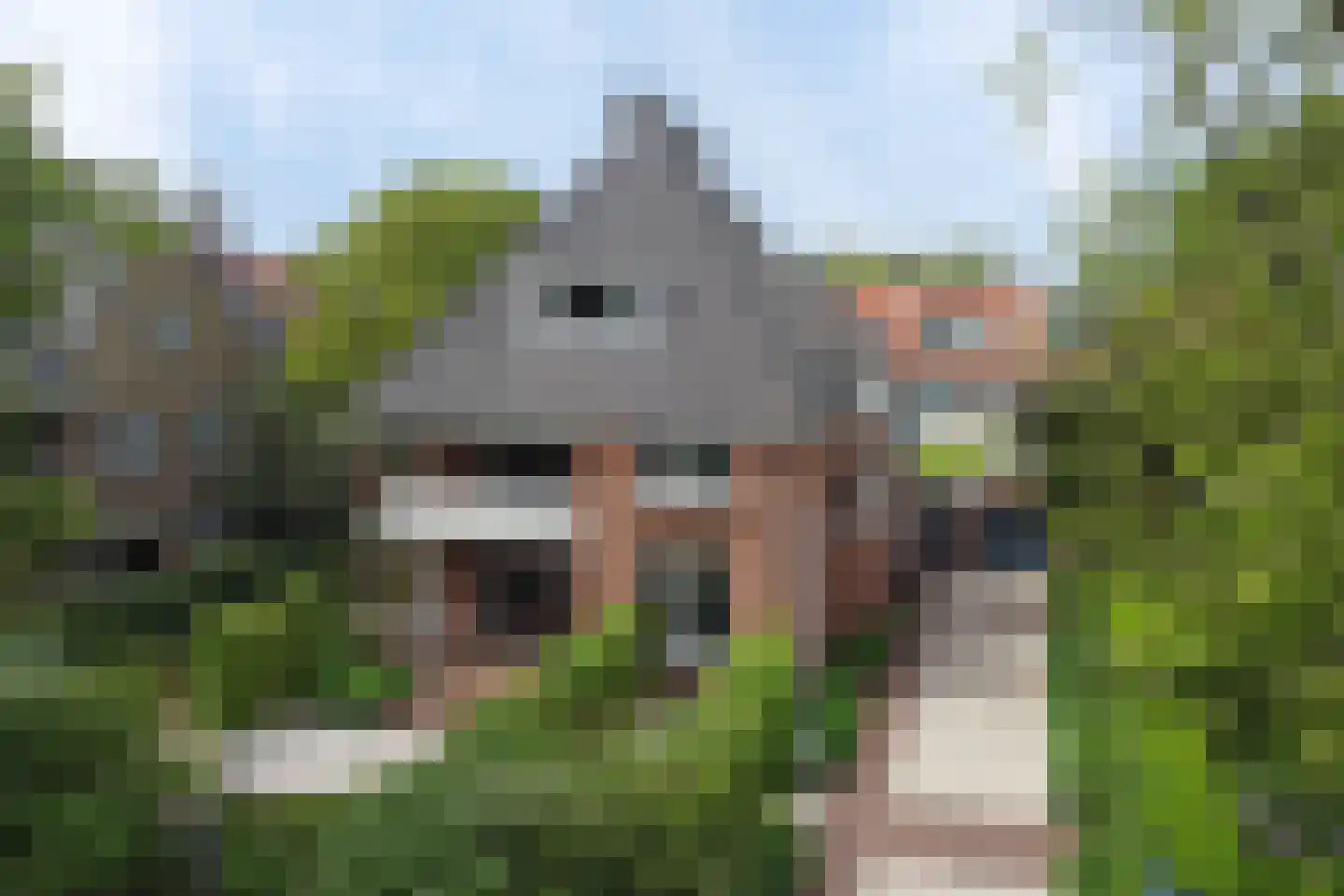 Veerdam 32 in Papendrecht