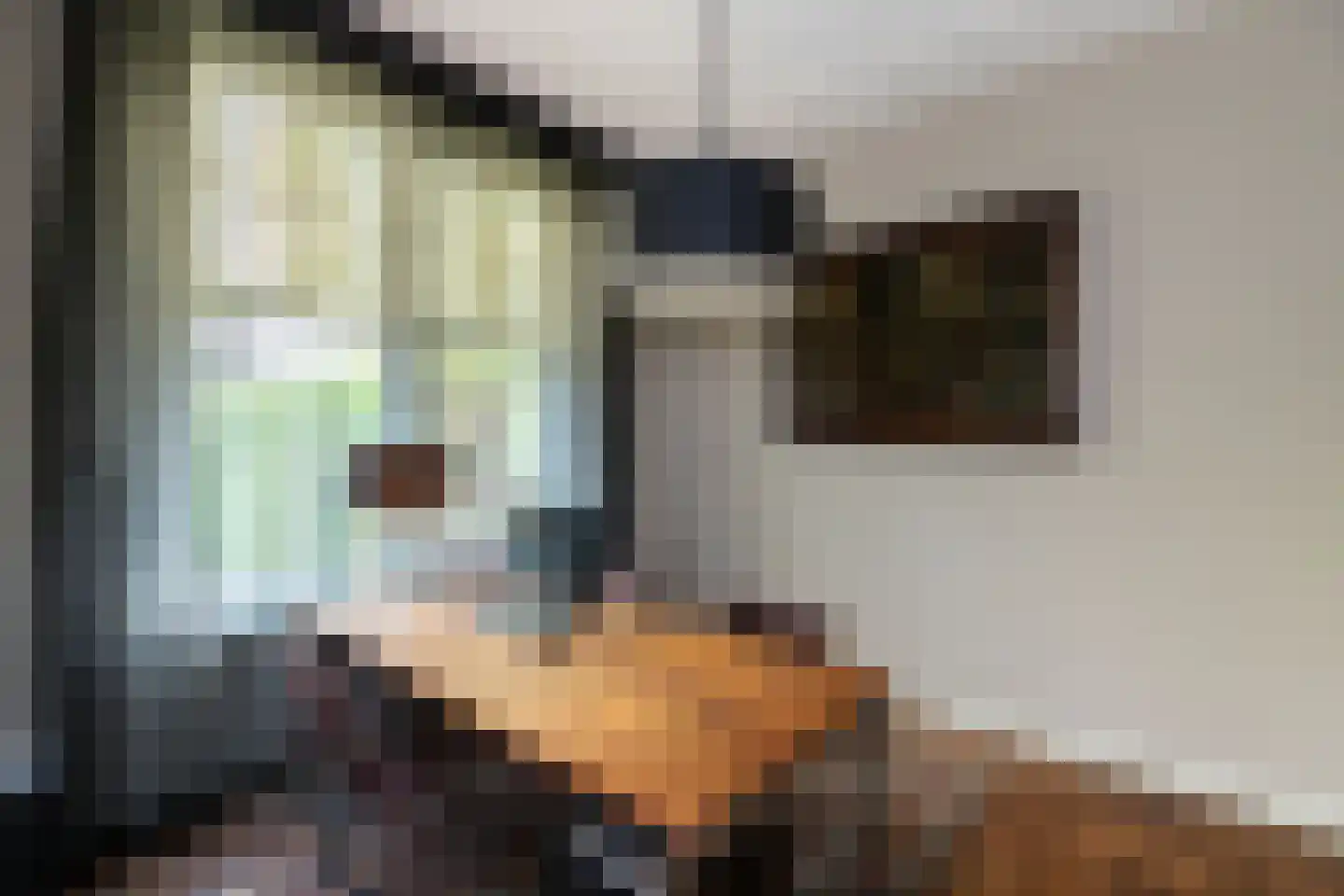 Veerdam 32 Papendrecht thumbnail 28