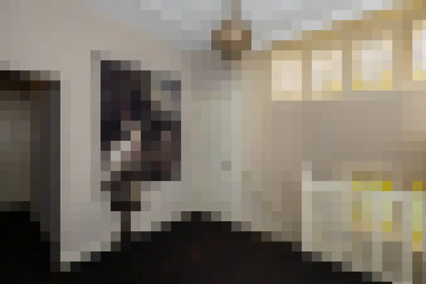 Veerdam 32 Papendrecht thumbnail 30