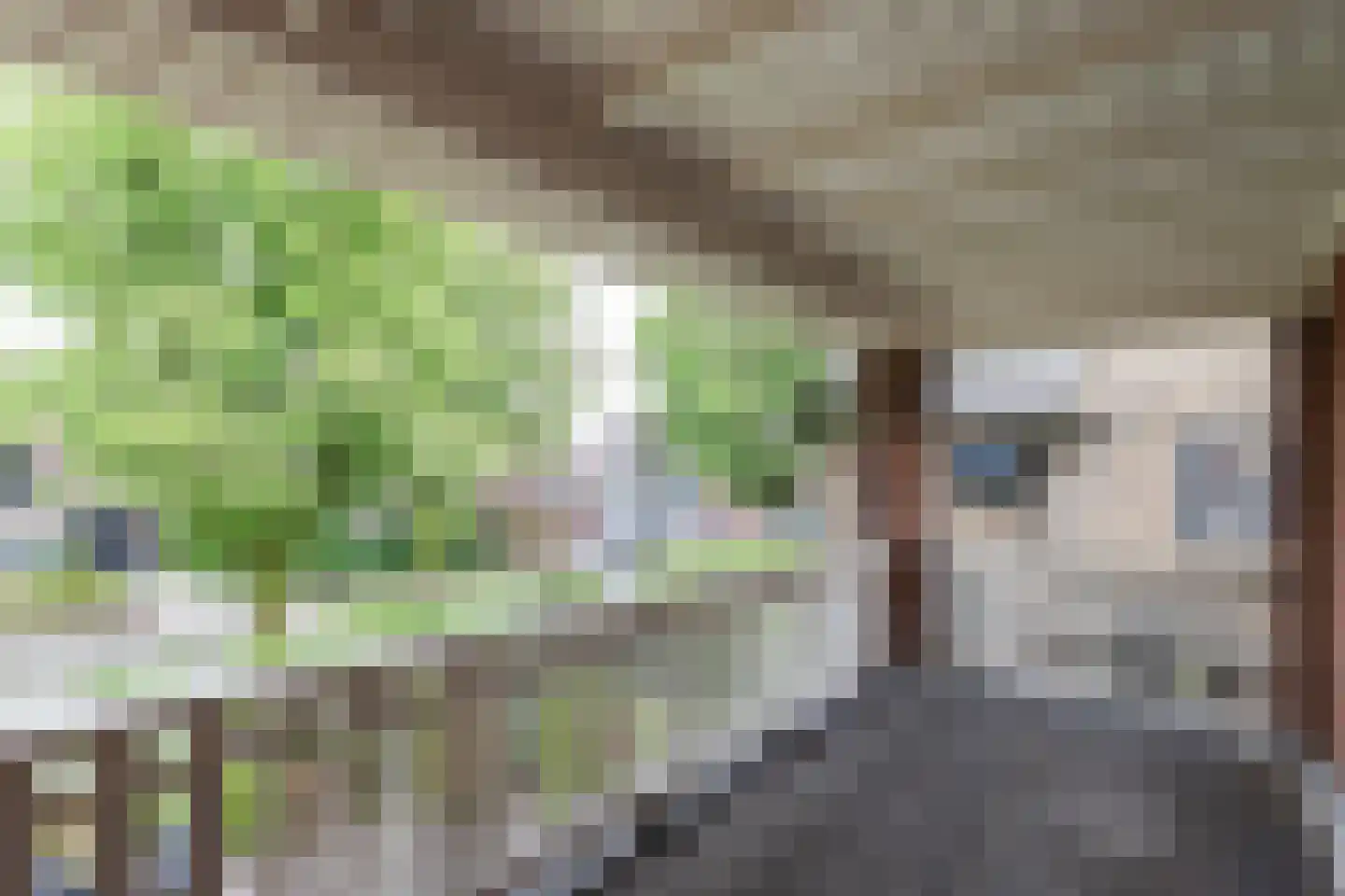 Veerdam 32 Papendrecht thumbnail 33