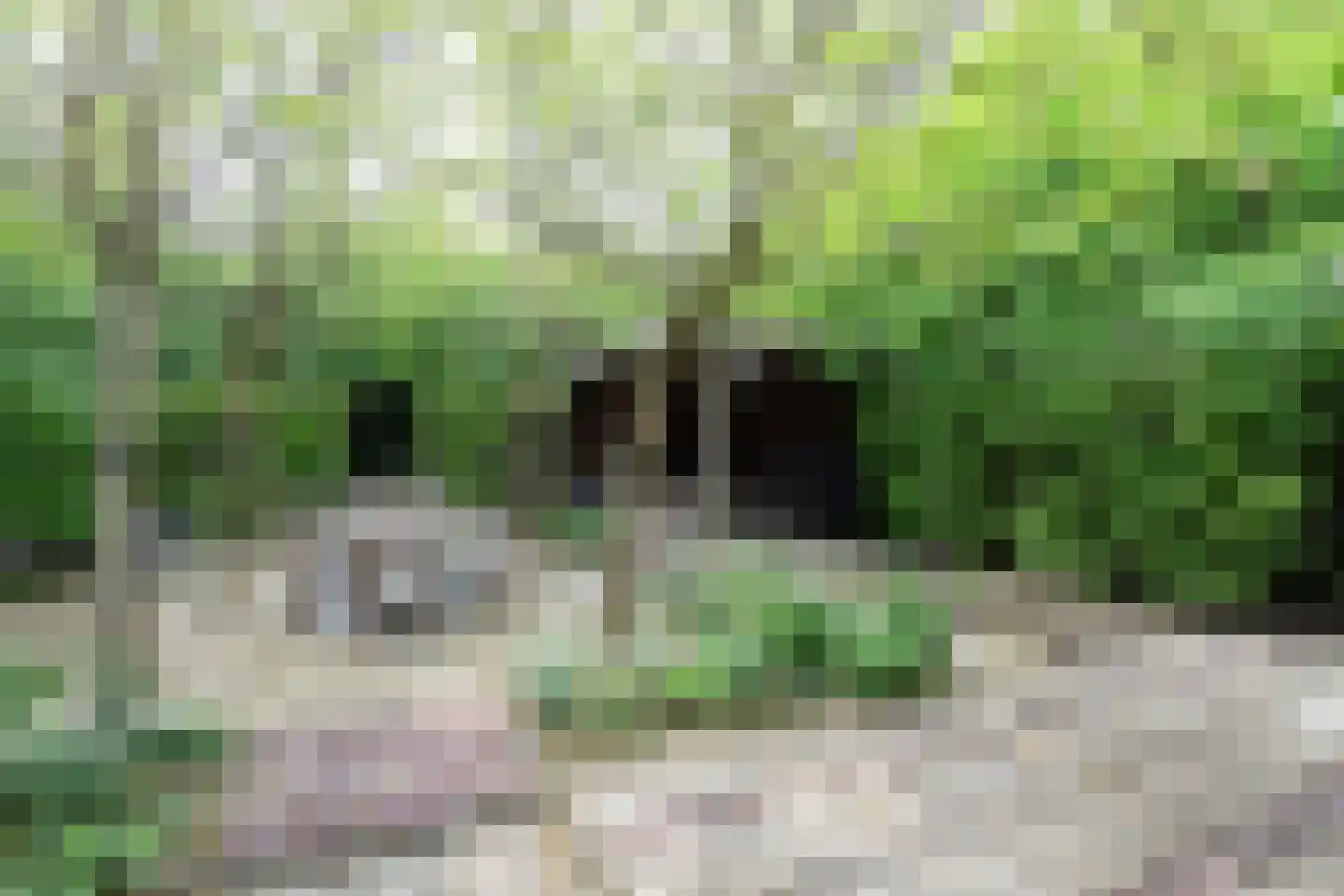 Veerdam 32 Papendrecht thumbnail 4