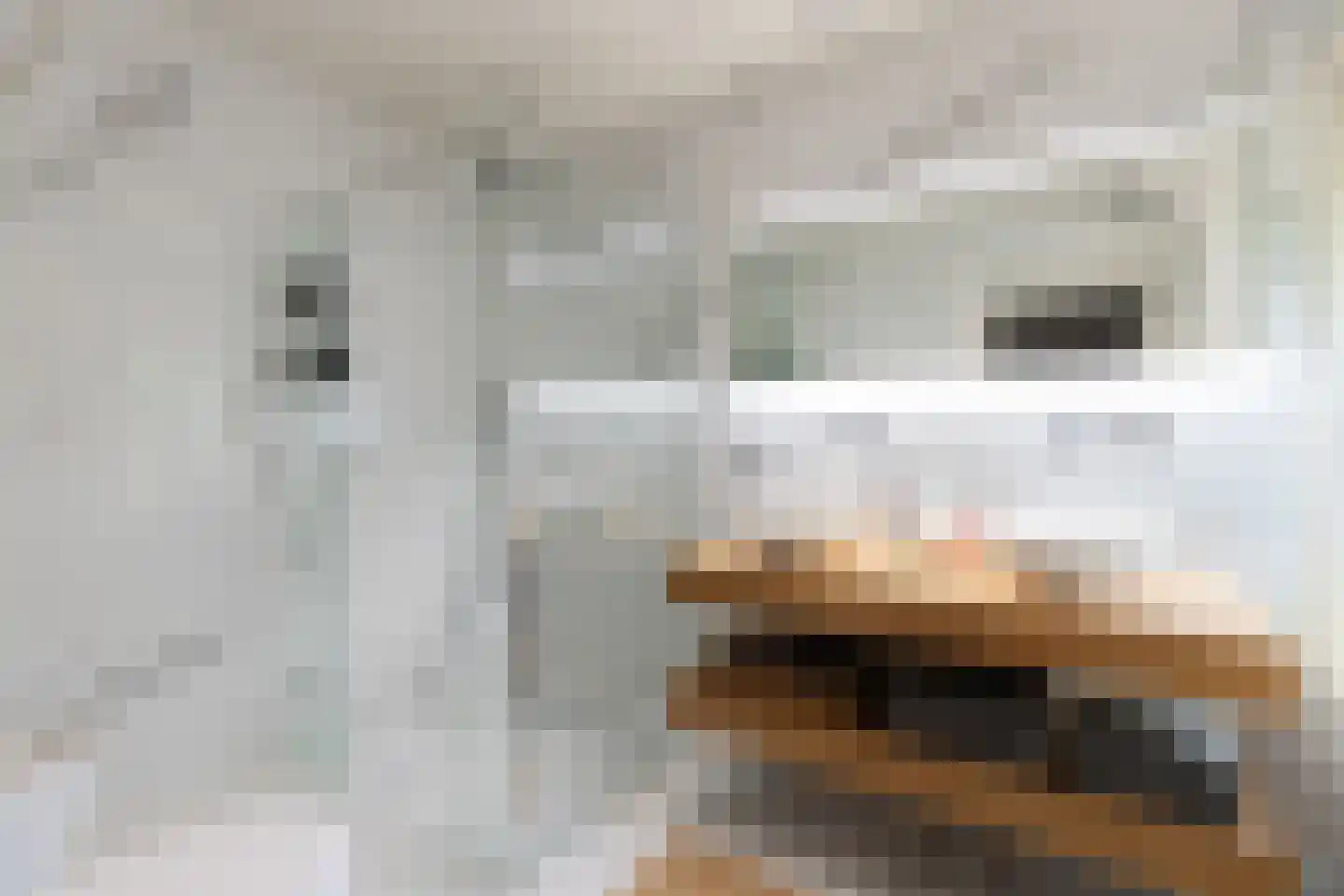 Veerdam 32 Papendrecht thumbnail 42