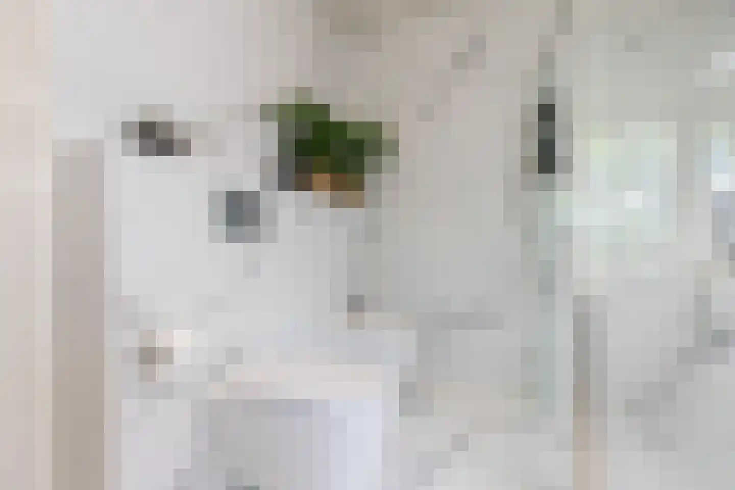 Veerdam 32 Papendrecht thumbnail 45