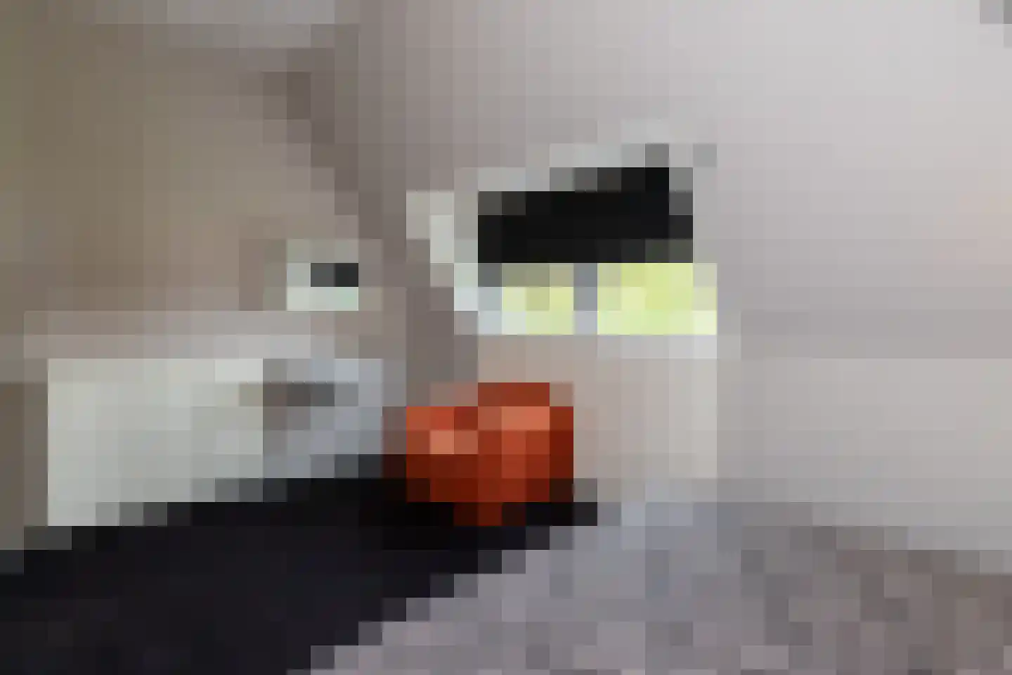 Veerdam 32 Papendrecht thumbnail 47