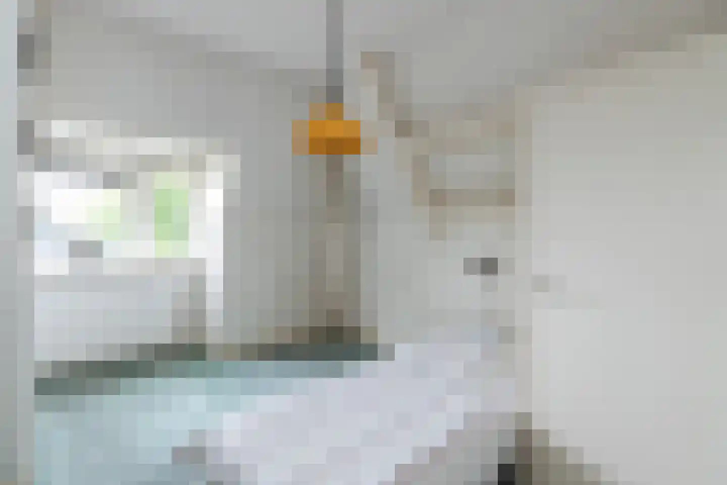 Veerdam 32 Papendrecht thumbnail 50