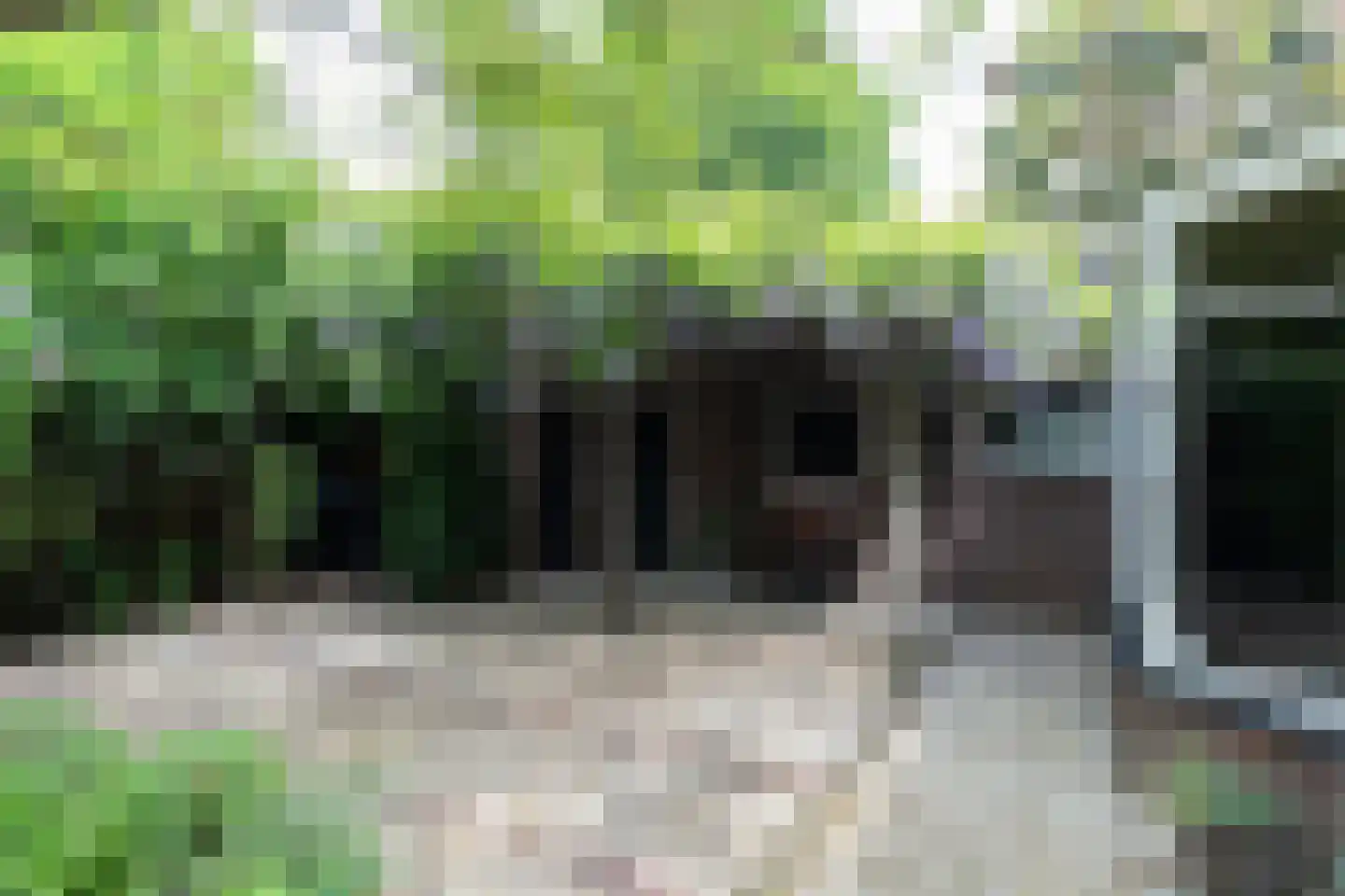 Veerdam 32 Papendrecht thumbnail 53