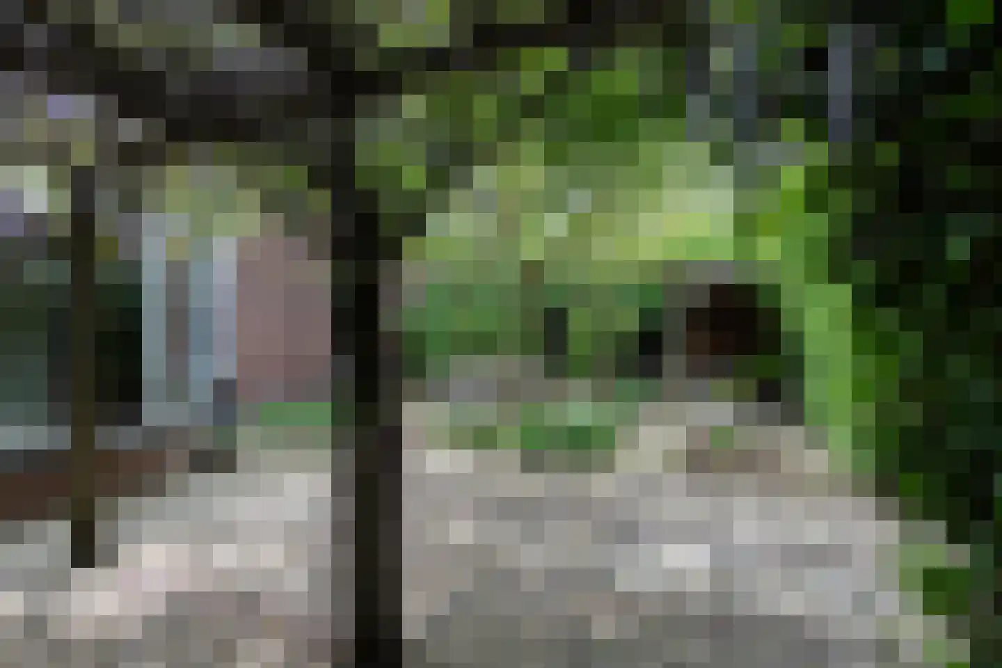 Veerdam 32 Papendrecht thumbnail 54