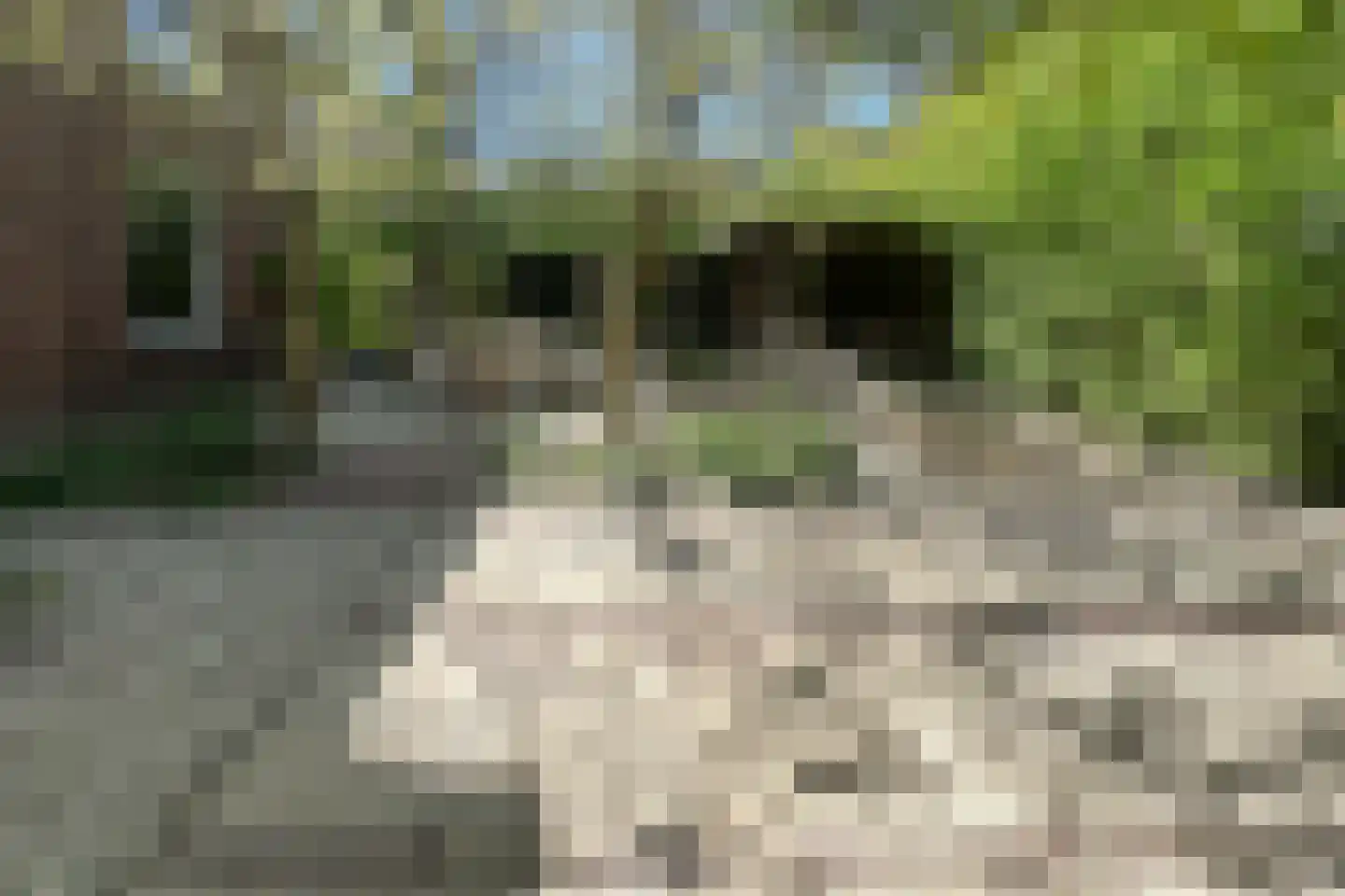 Veerdam 32 Papendrecht thumbnail 55