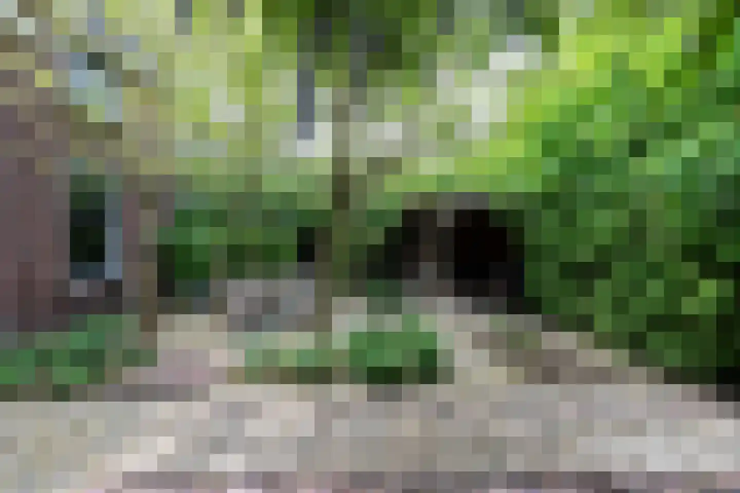 Veerdam 32 Papendrecht thumbnail 56
