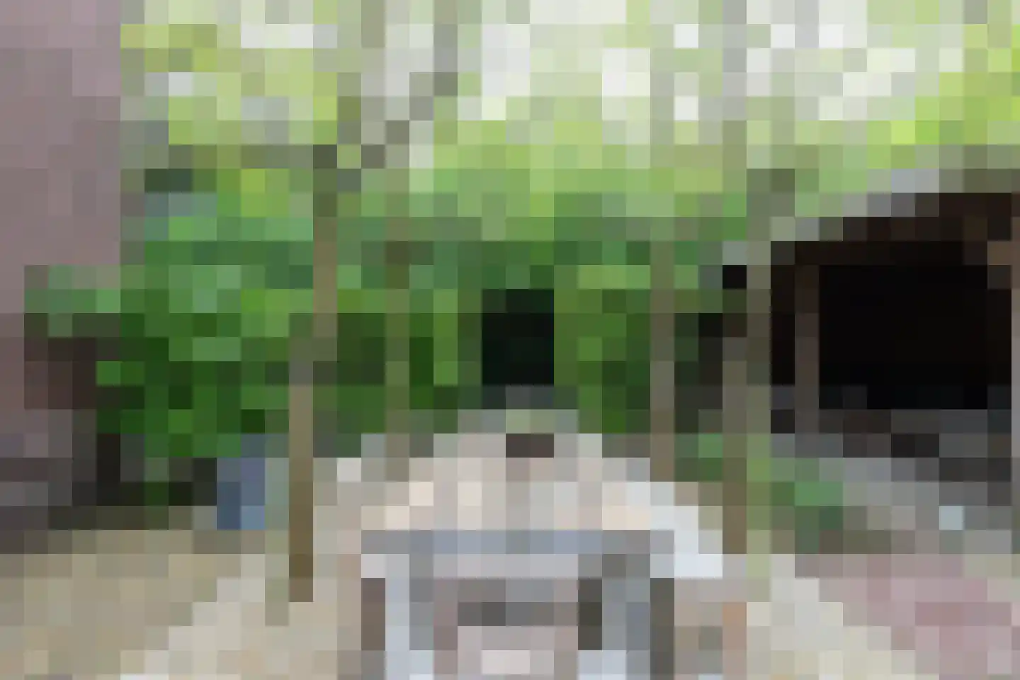 Veerdam 32 Papendrecht thumbnail 57