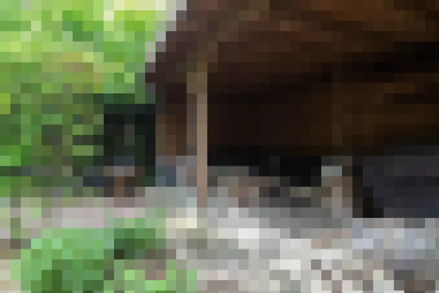 Veerdam 32 Papendrecht thumbnail 59