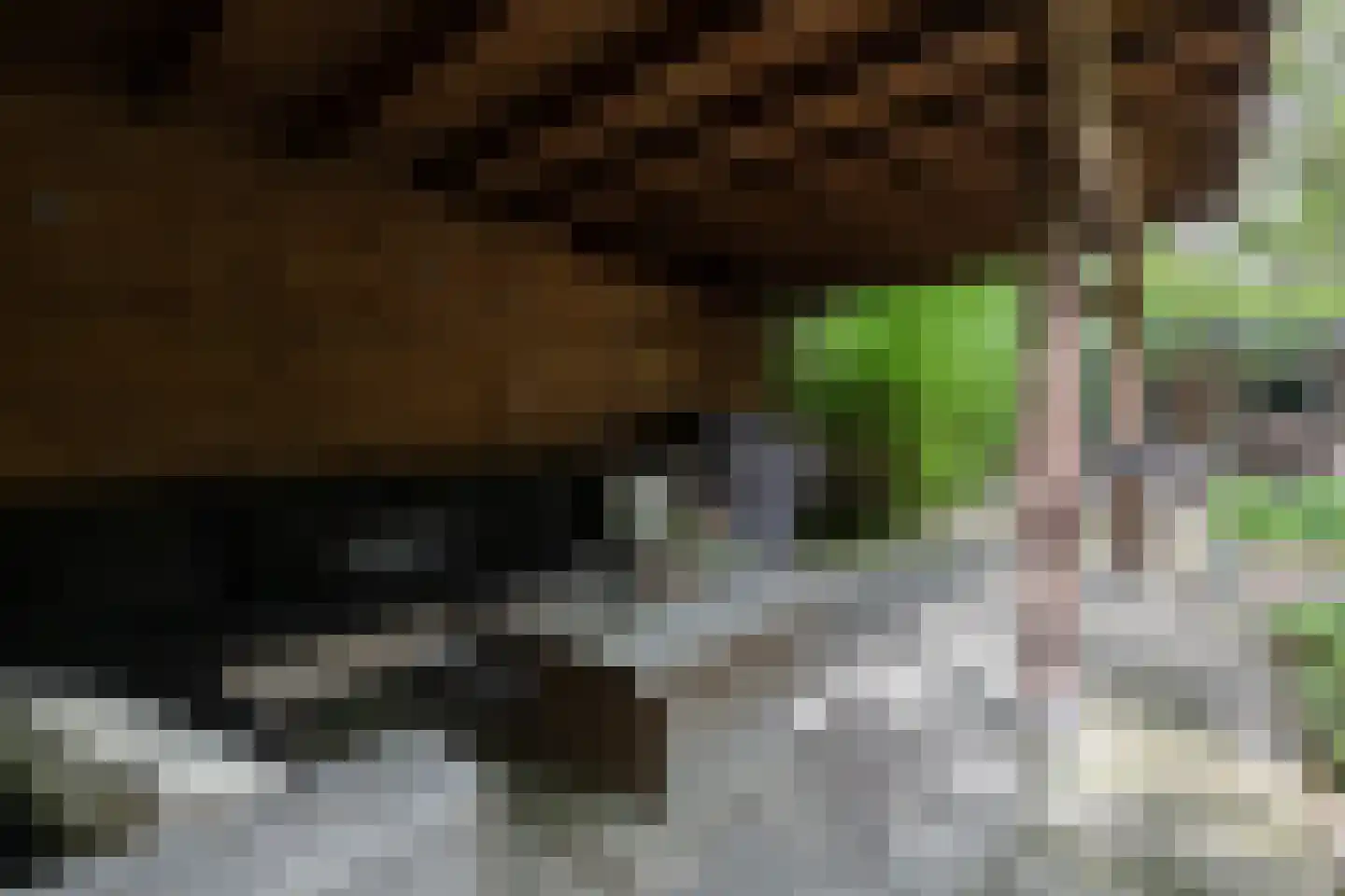 Veerdam 32 Papendrecht thumbnail 60