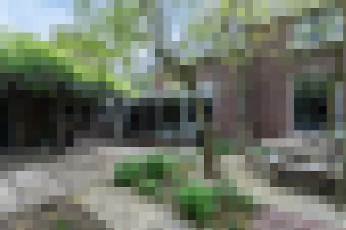 Veerdam 32 Papendrecht thumbnail 62