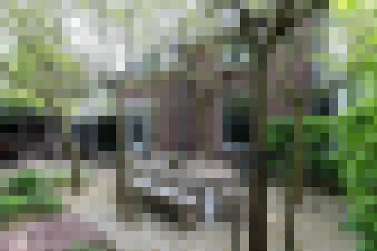 Veerdam 32 Papendrecht thumbnail 63