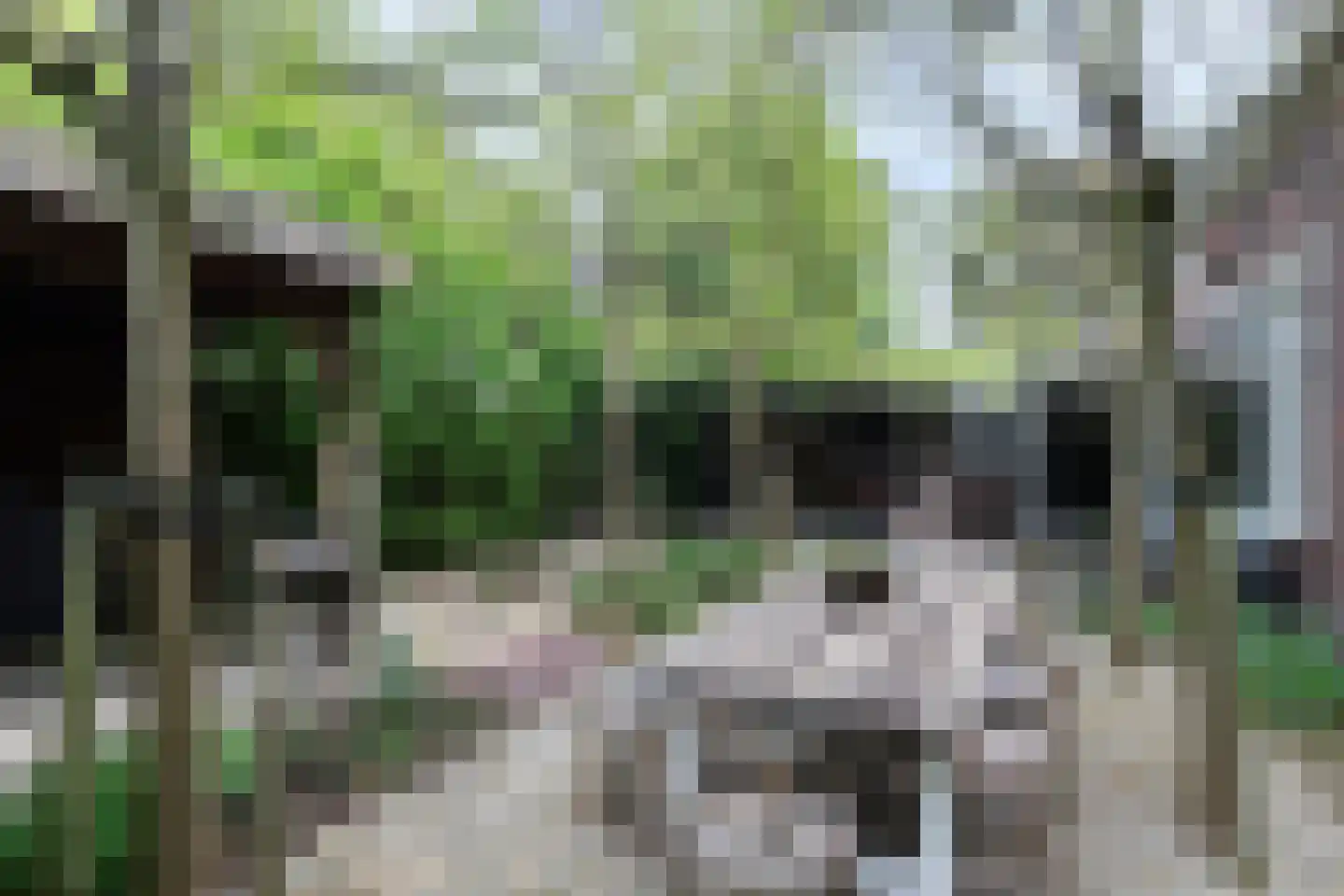 Veerdam 32 Papendrecht thumbnail 64