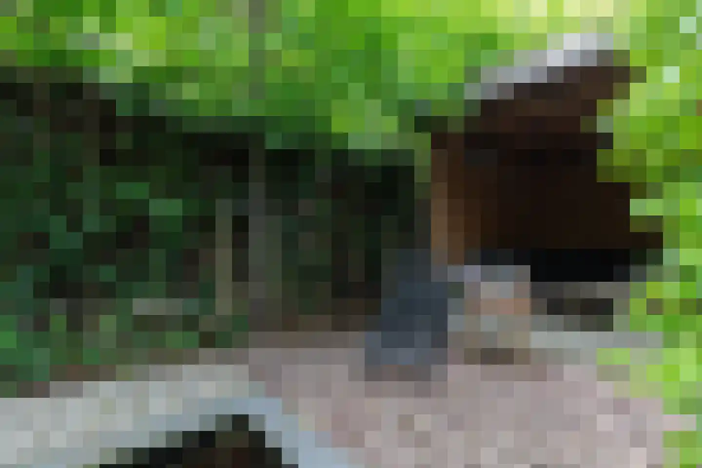 Veerdam 32 Papendrecht thumbnail 65
