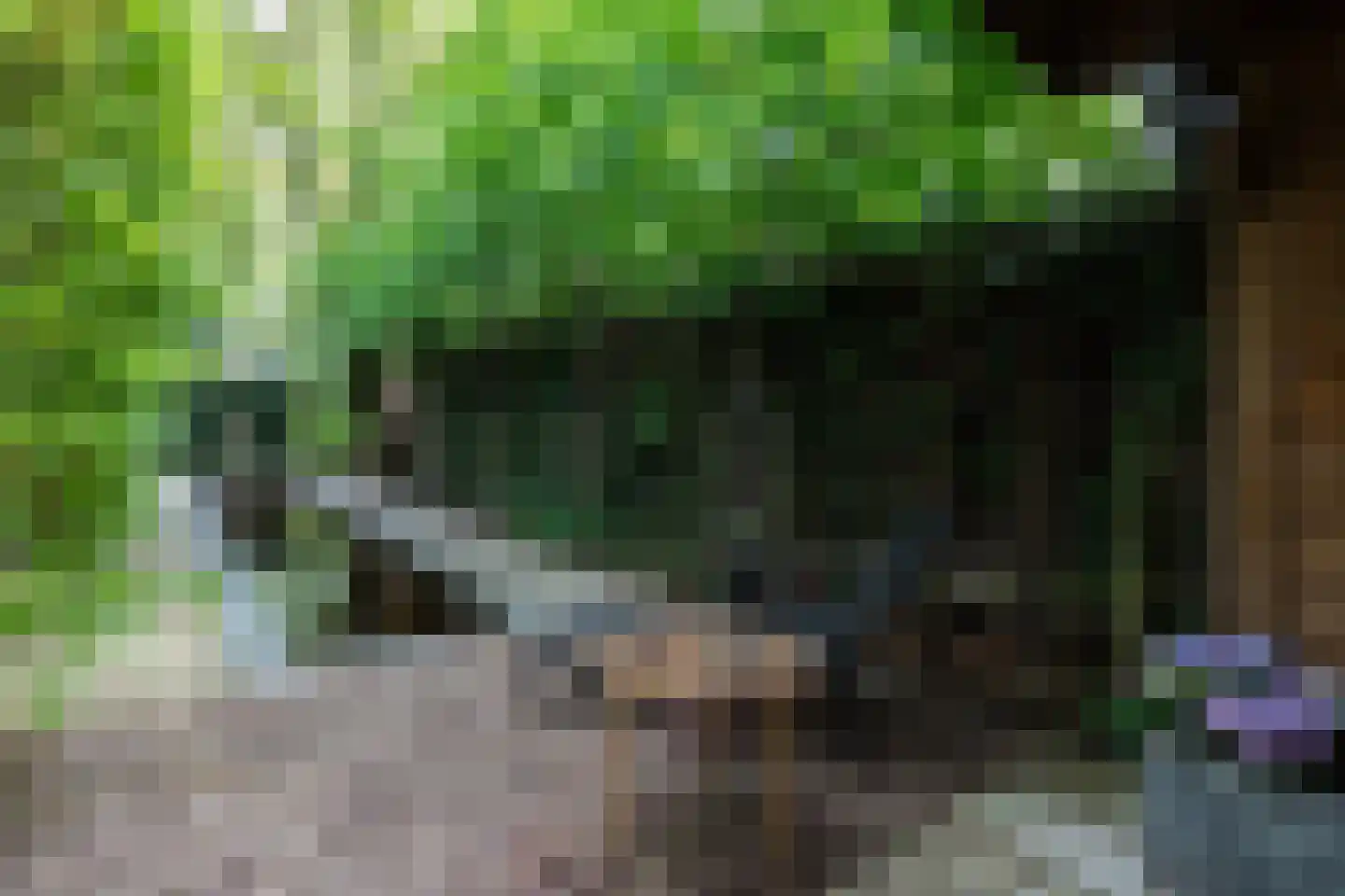 Veerdam 32 Papendrecht thumbnail 66