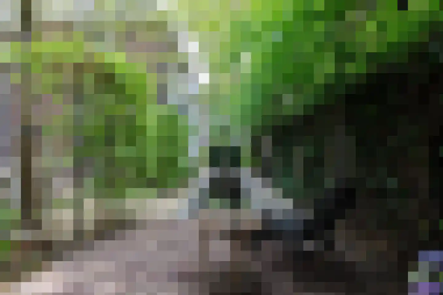 Veerdam 32 Papendrecht thumbnail 67