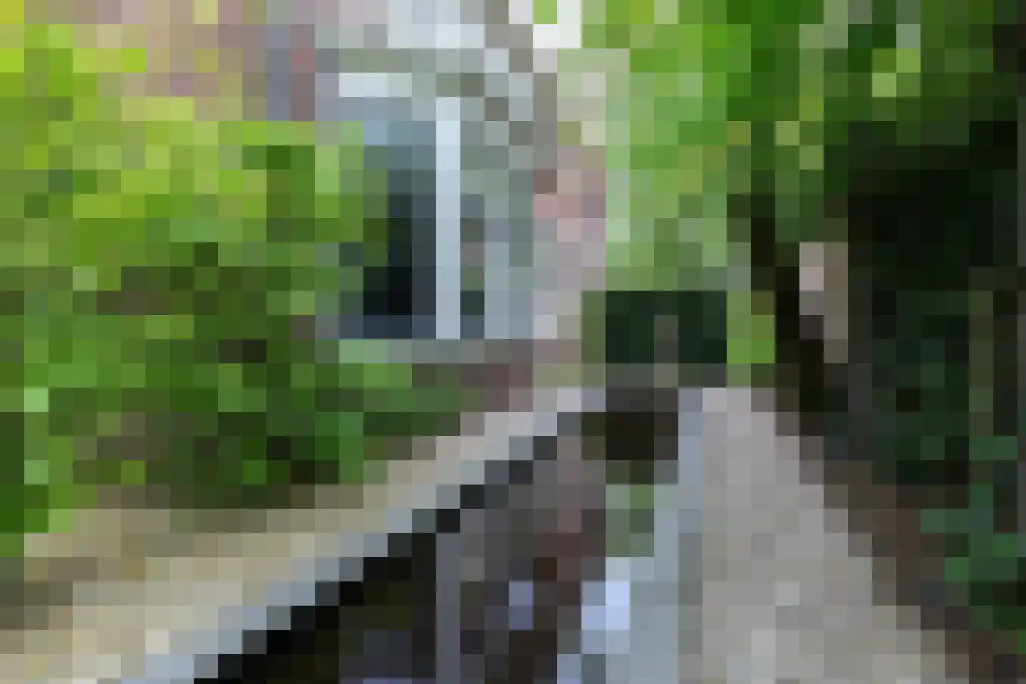 Veerdam 32 Papendrecht thumbnail 68