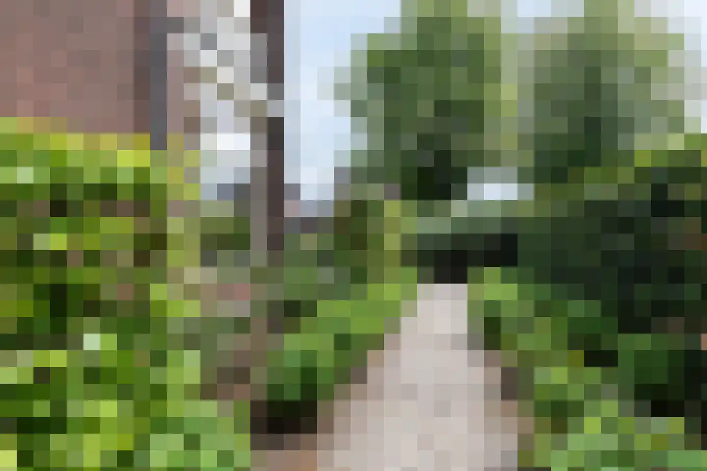 Veerdam 32 Papendrecht thumbnail 69
