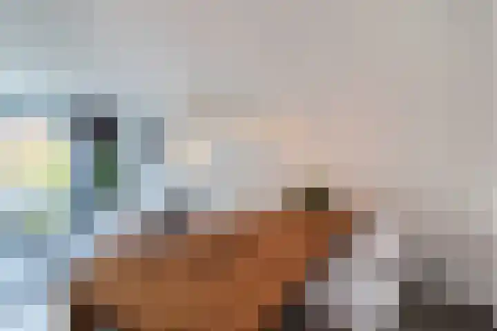 Veerdam 40 Papendrecht thumbnail 10
