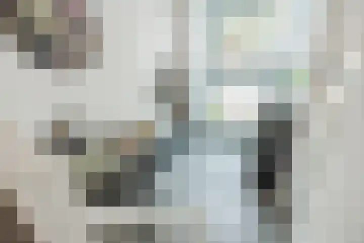 Veerdam 40 Papendrecht thumbnail 12