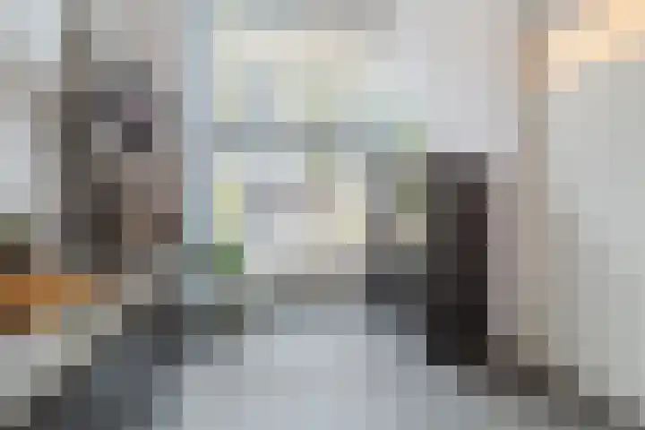 Veerdam 40 Papendrecht thumbnail 15