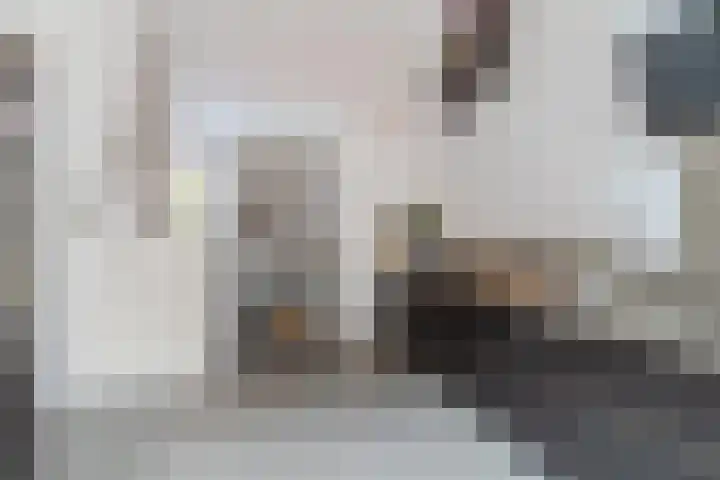 Veerdam 40 Papendrecht thumbnail 16