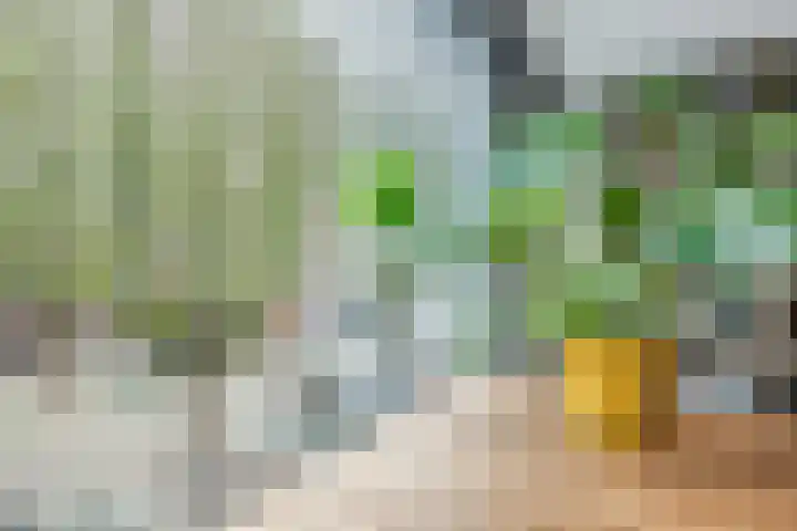 Veerdam 40 Papendrecht thumbnail 23