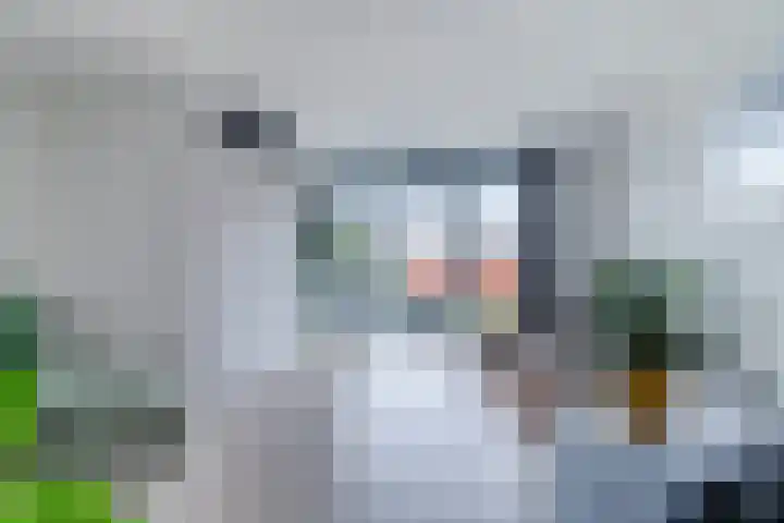 Veerdam 40 Papendrecht thumbnail 31