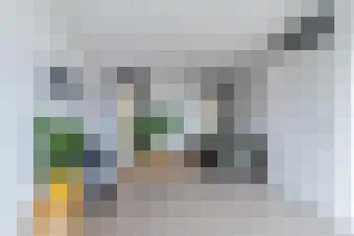 Veerdam 40 Papendrecht thumbnail 34