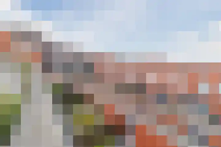 Veerdam 40 Papendrecht thumbnail 38