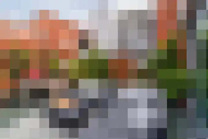 Veerdam 40 Papendrecht thumbnail 6
