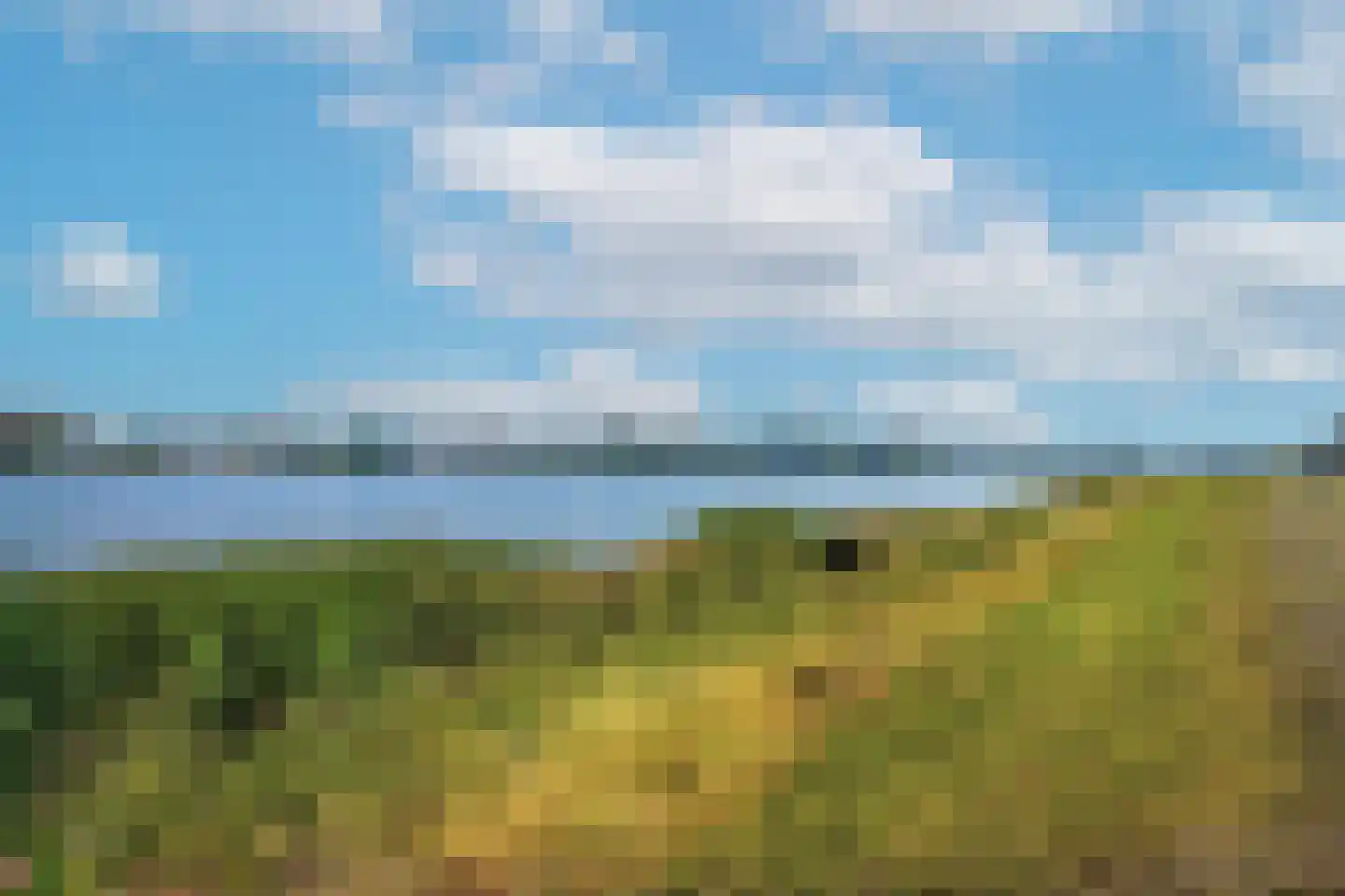 Veerdam 41 Kinderdijk foto 2